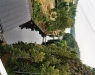 image20